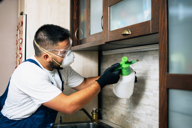 Best Pest Removal Services  in Manhattan, KS