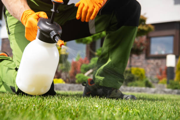 Best Ant Control Services  in Manhattan, KS