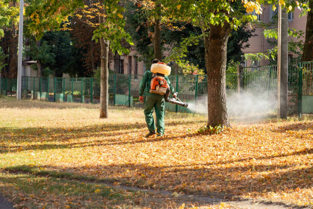 Manhattan, KS Pest Control Company