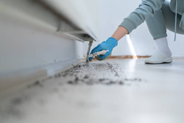 Best Affordable Pest Control Services  in Manhattan, KS